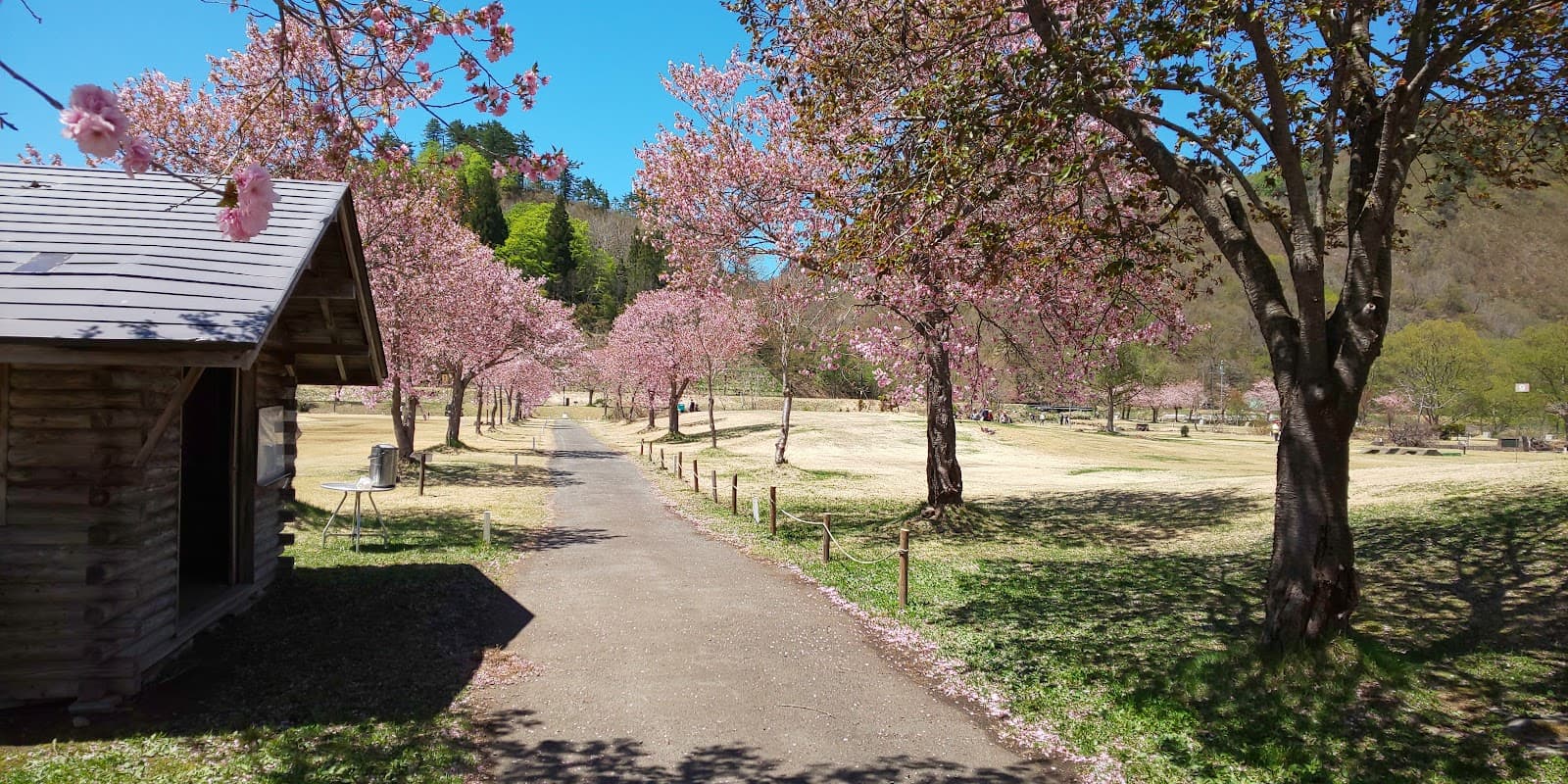 白川ダム湖畔オートキャンプ場テントサイト