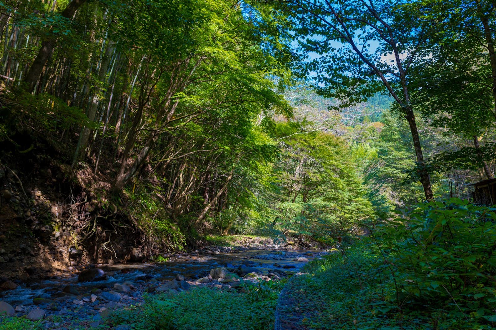 宵待庵まつしまや