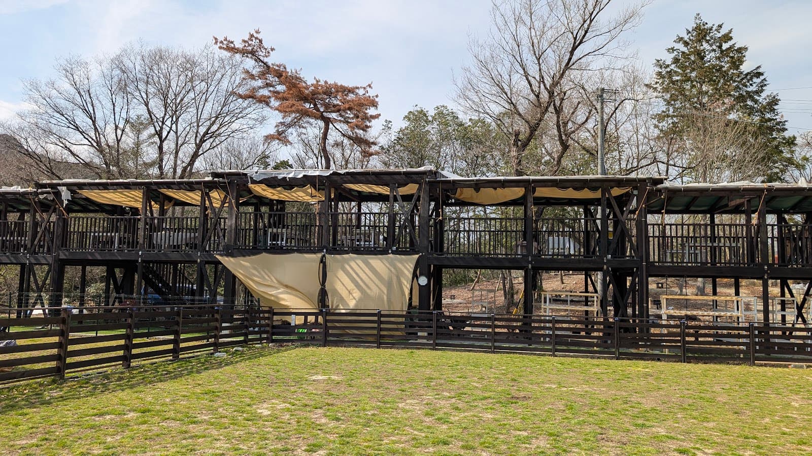 キャンプ・ドッグラン・ボーの森