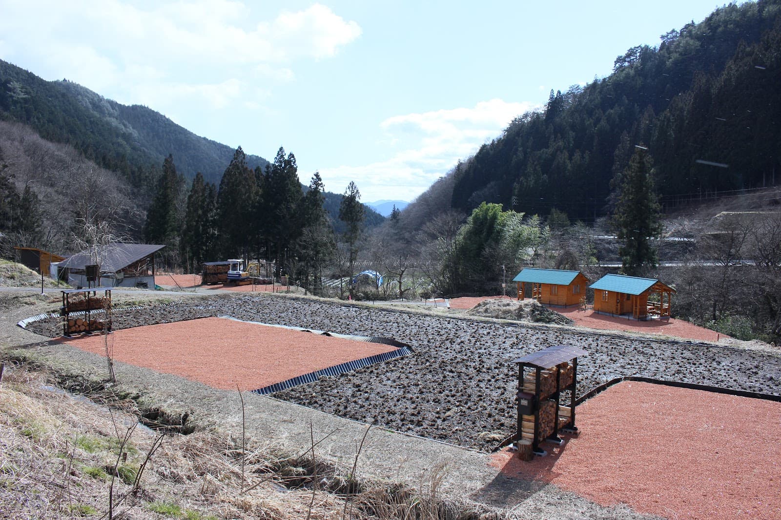 HOLY FUNGUS（ホーリーファンガス）