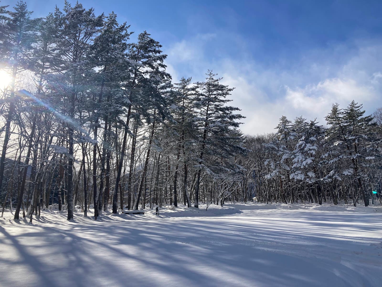 ランテラス信濃大町