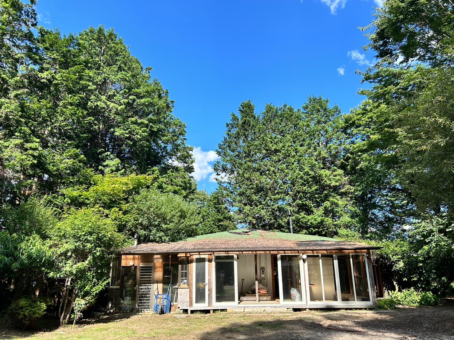 Re:tama Camp Forest | りたまキャンプフォレスト