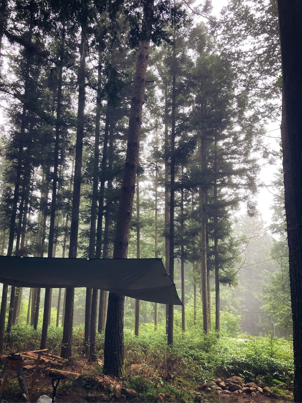 東白川中谷営林協会