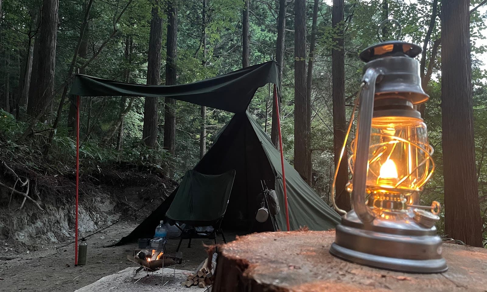 たそがれテラスの森と風