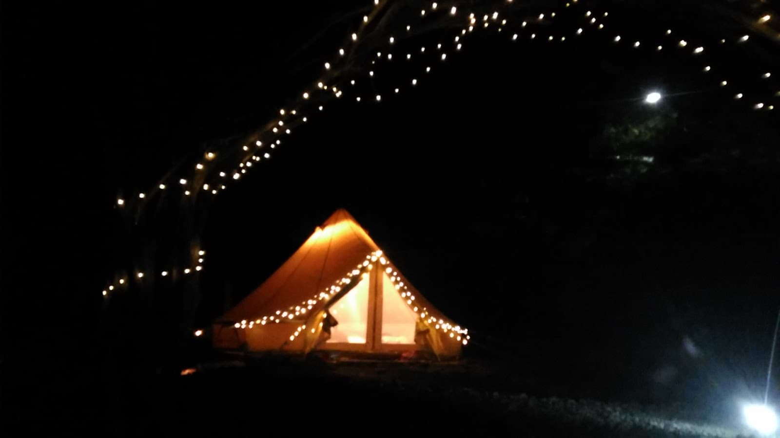 野原のミュージアム