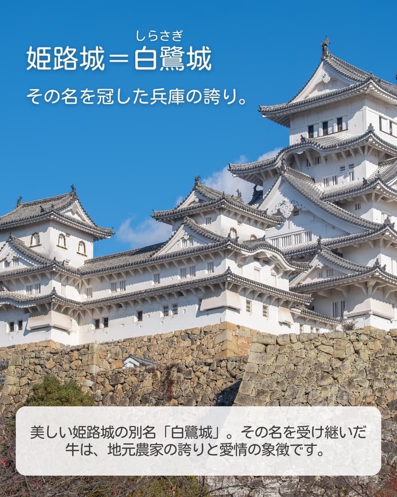 丹波星空グランピング-SHIGURA RESORT