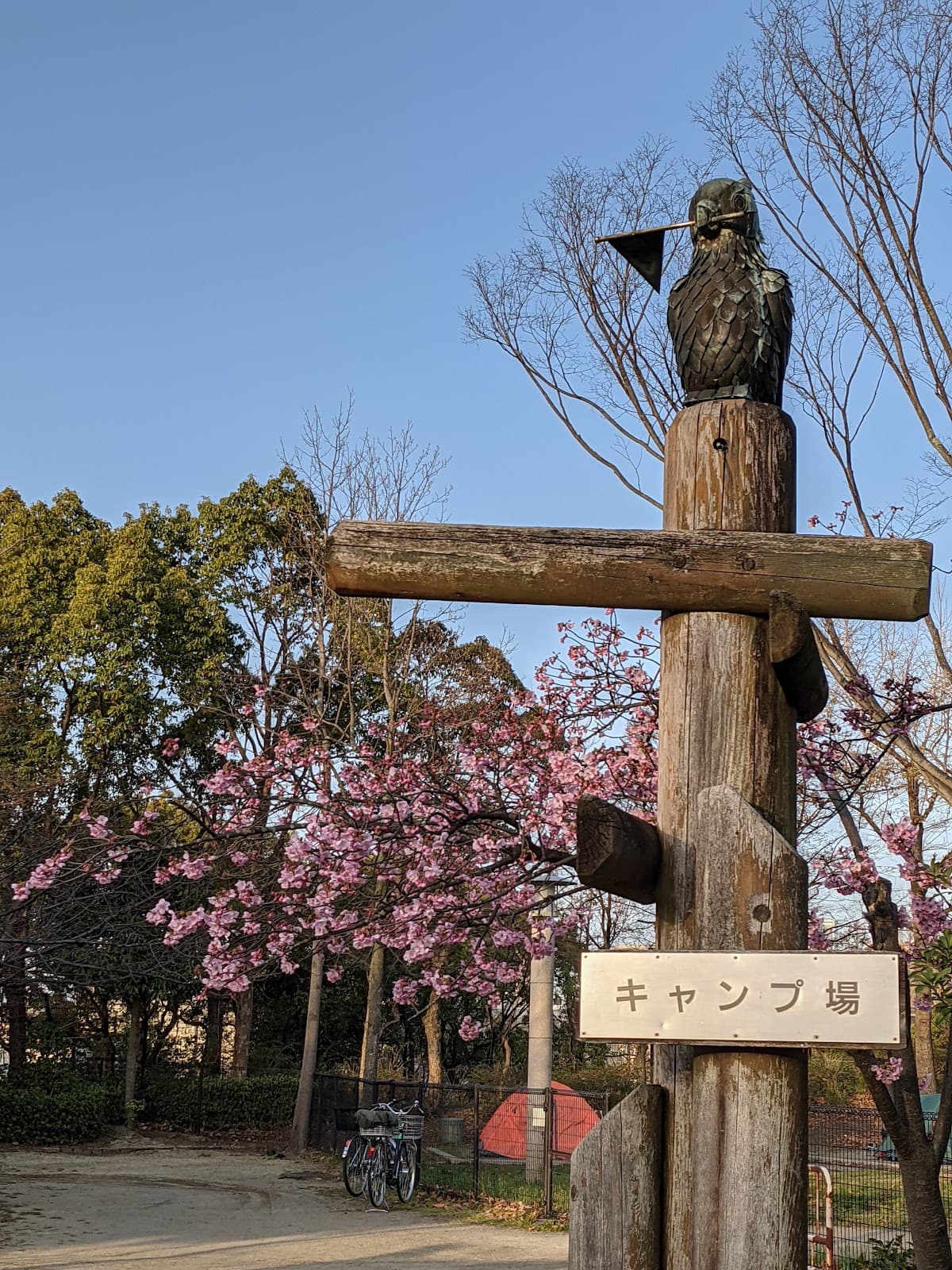 鶴見緑地 キャンプ場
