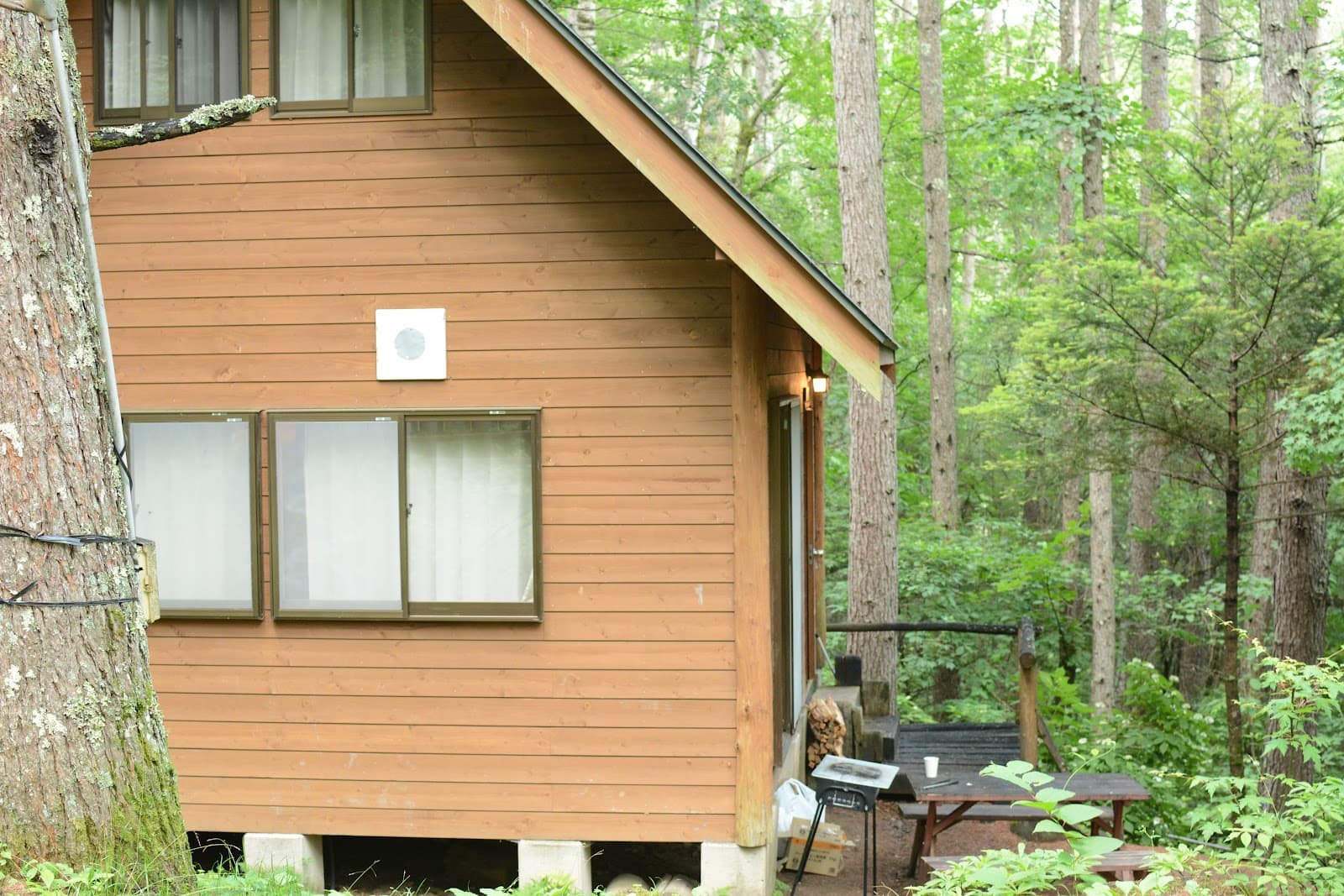 漁樵(ぎょしょう)カオス