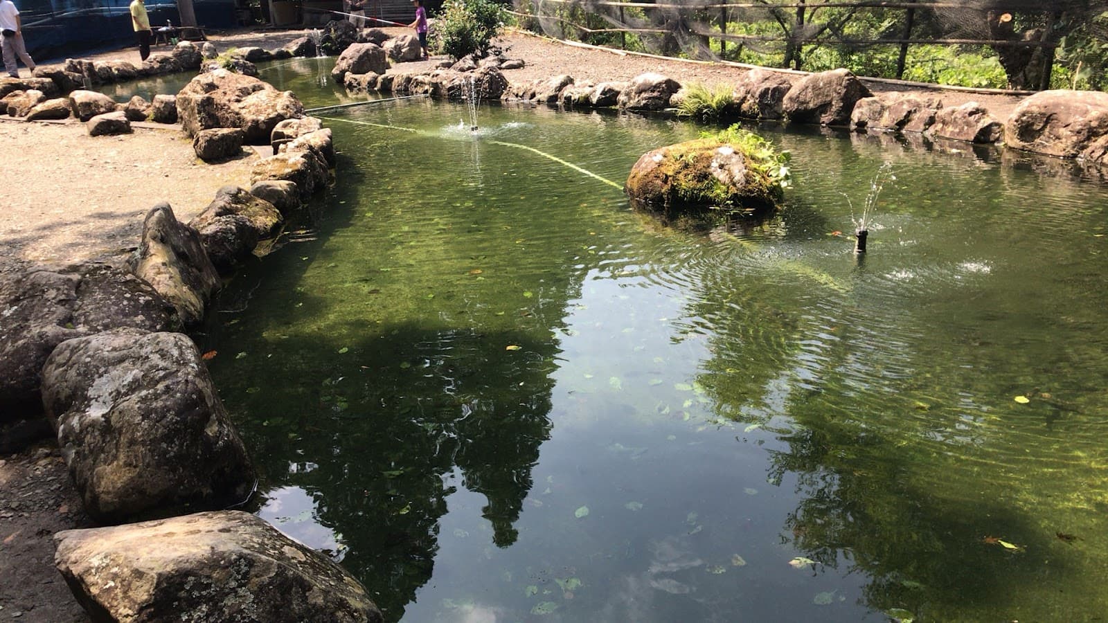 やまめの里みつの