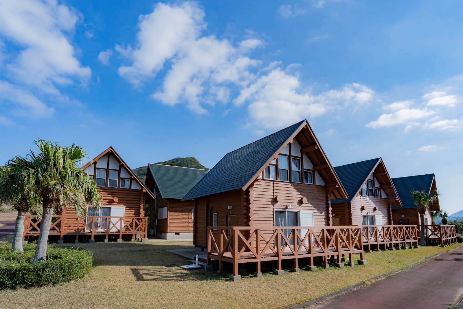 しんうおのめふれ愛らんど