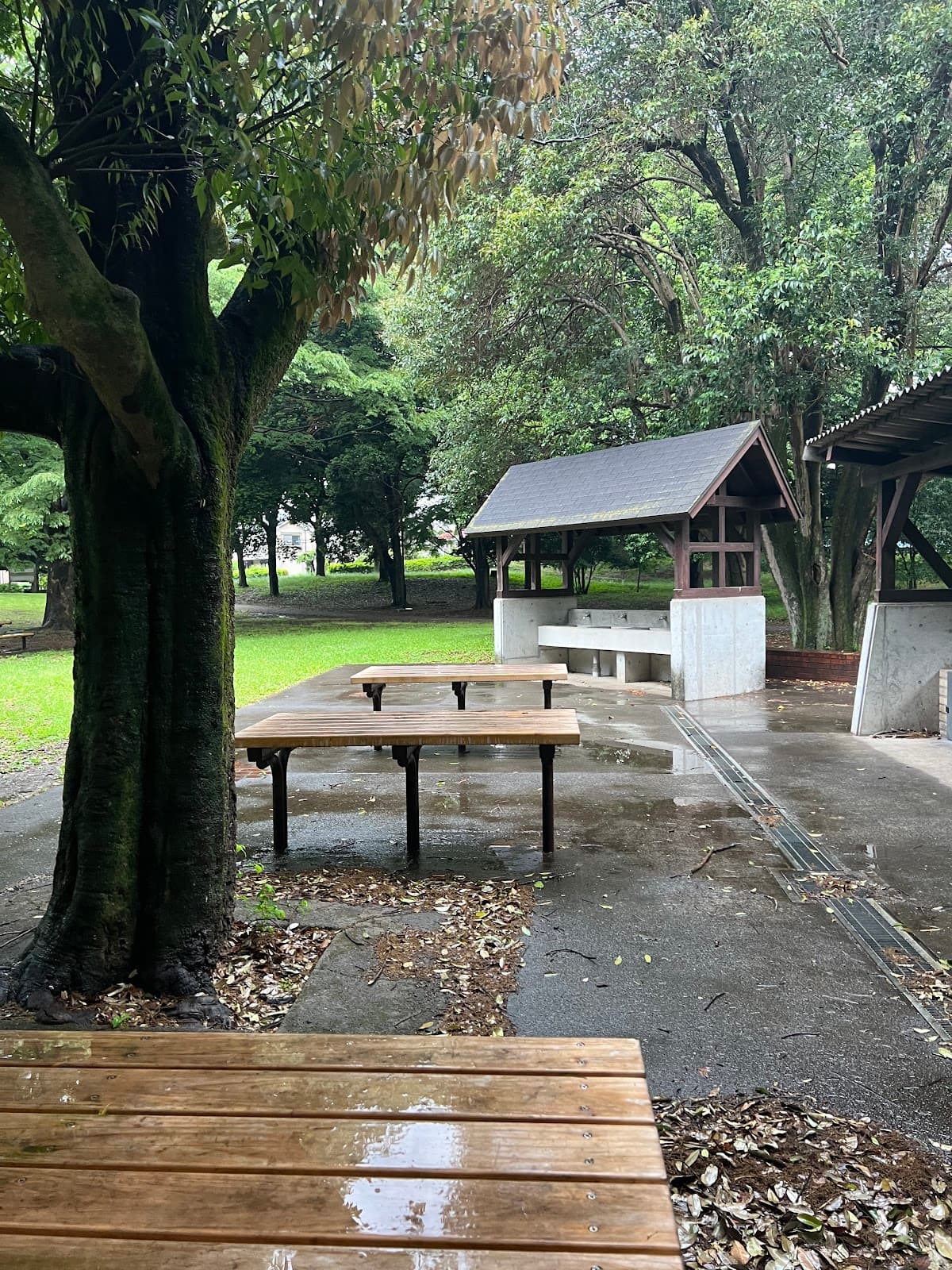 野川公園少年キャンプ場