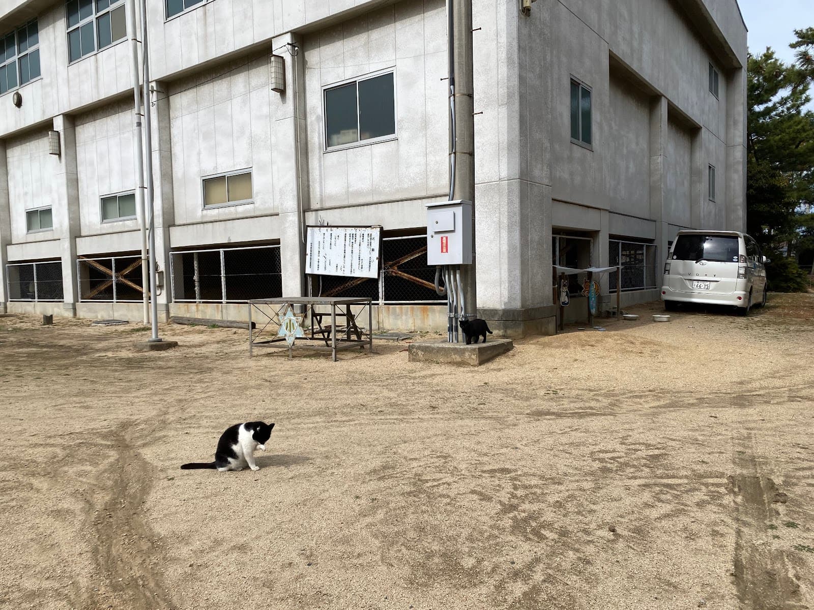 女木島 松原キャンプ場