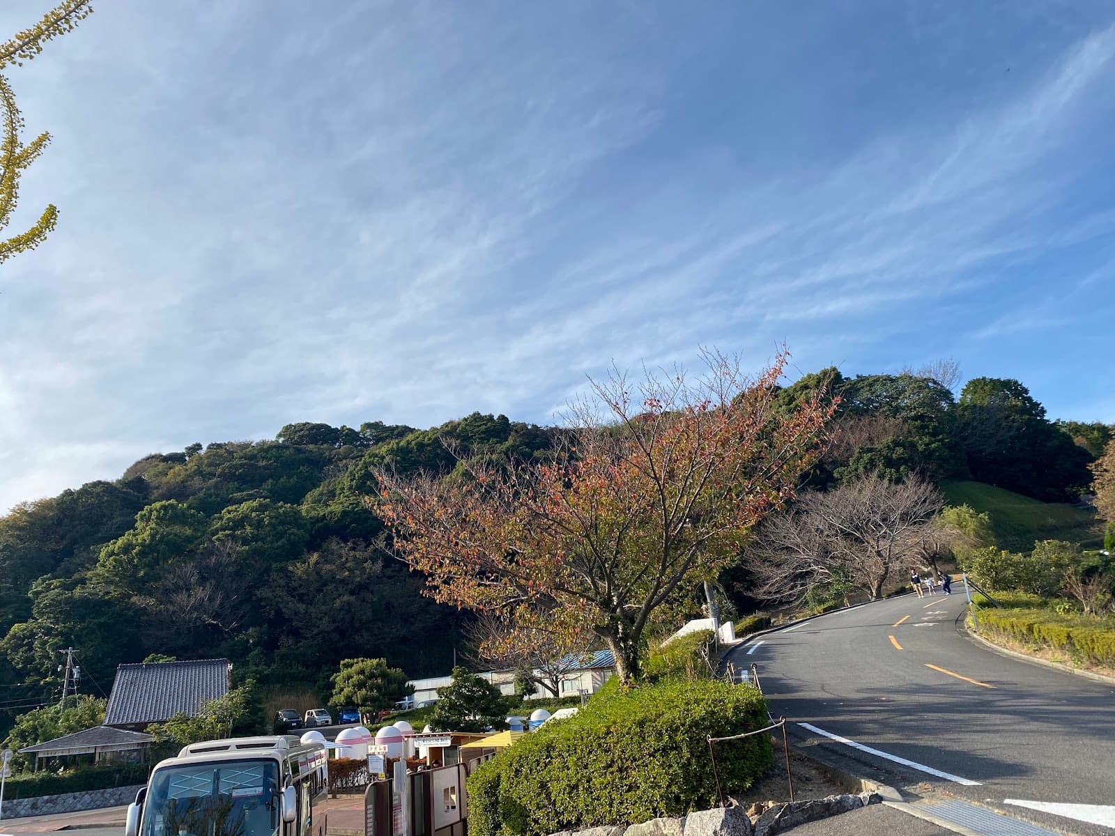 愛知こどもの国 キャンプ場