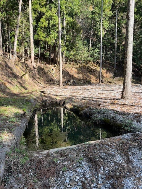 深緑の森キャンプ場