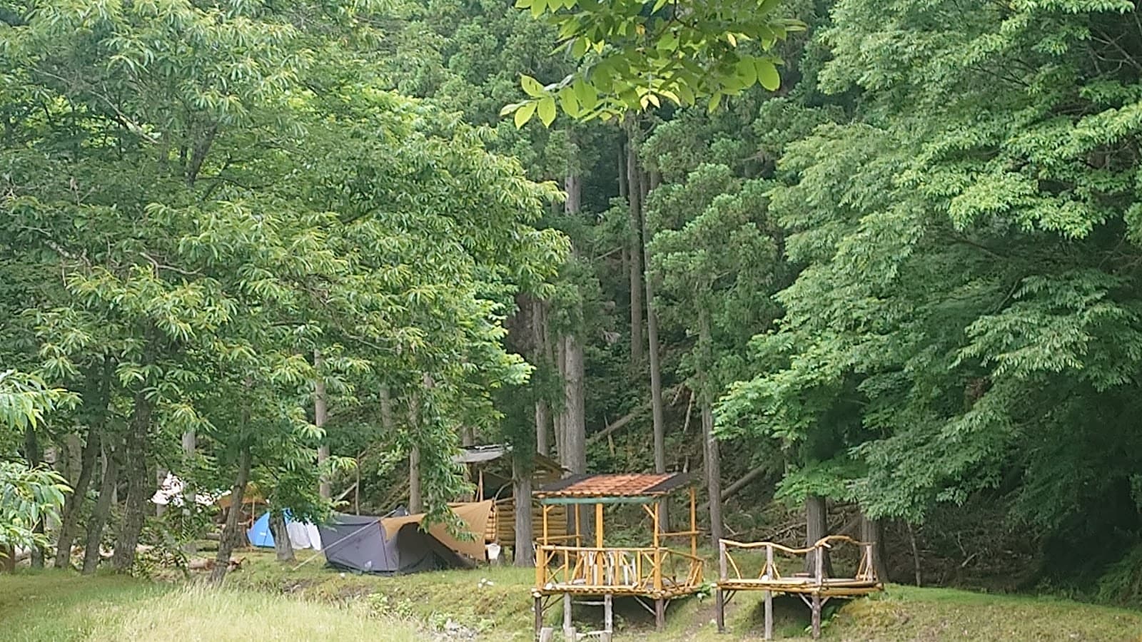 美山くるみの森キャンプ場