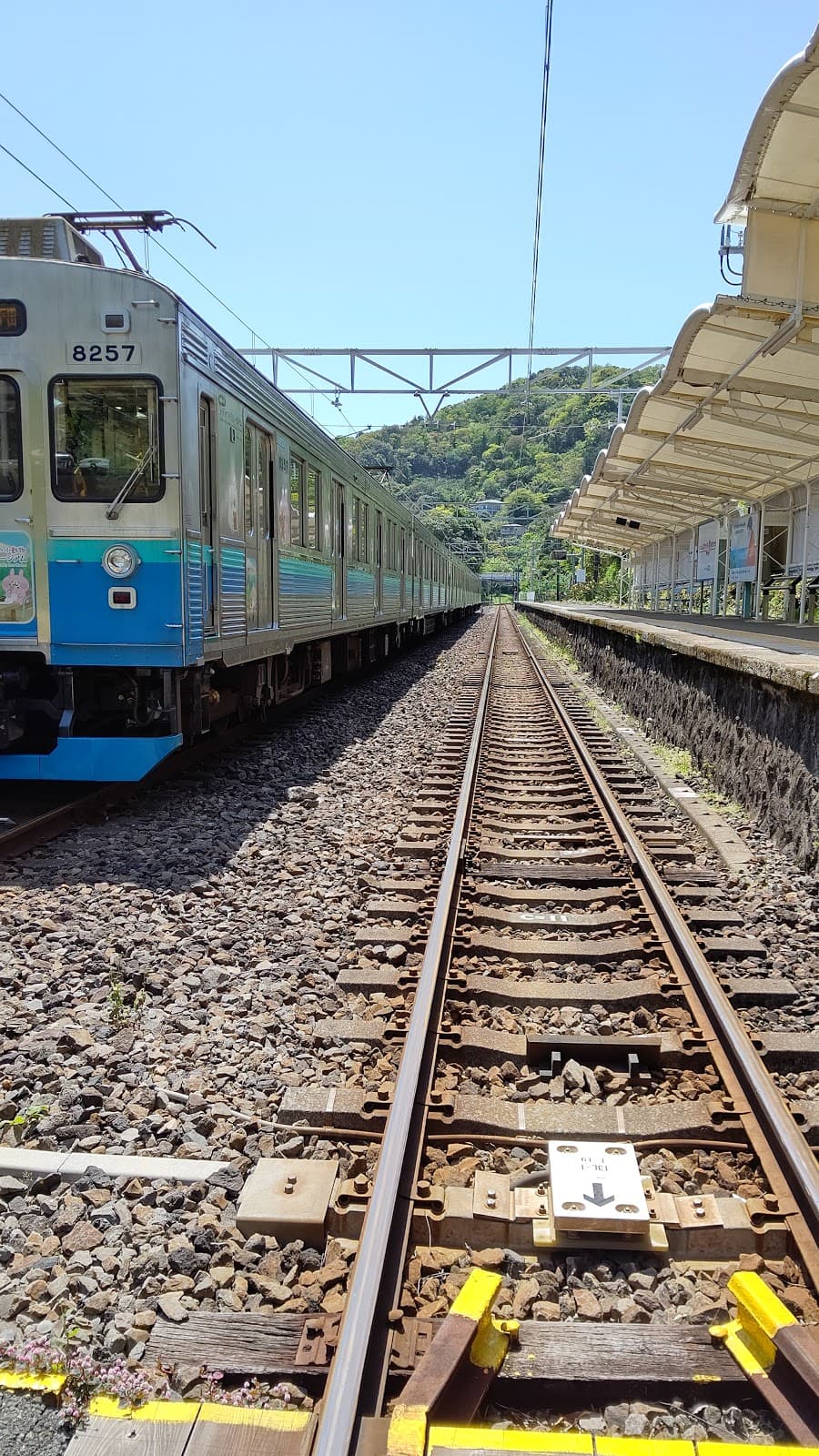 フリーサイトベース伊豆大川