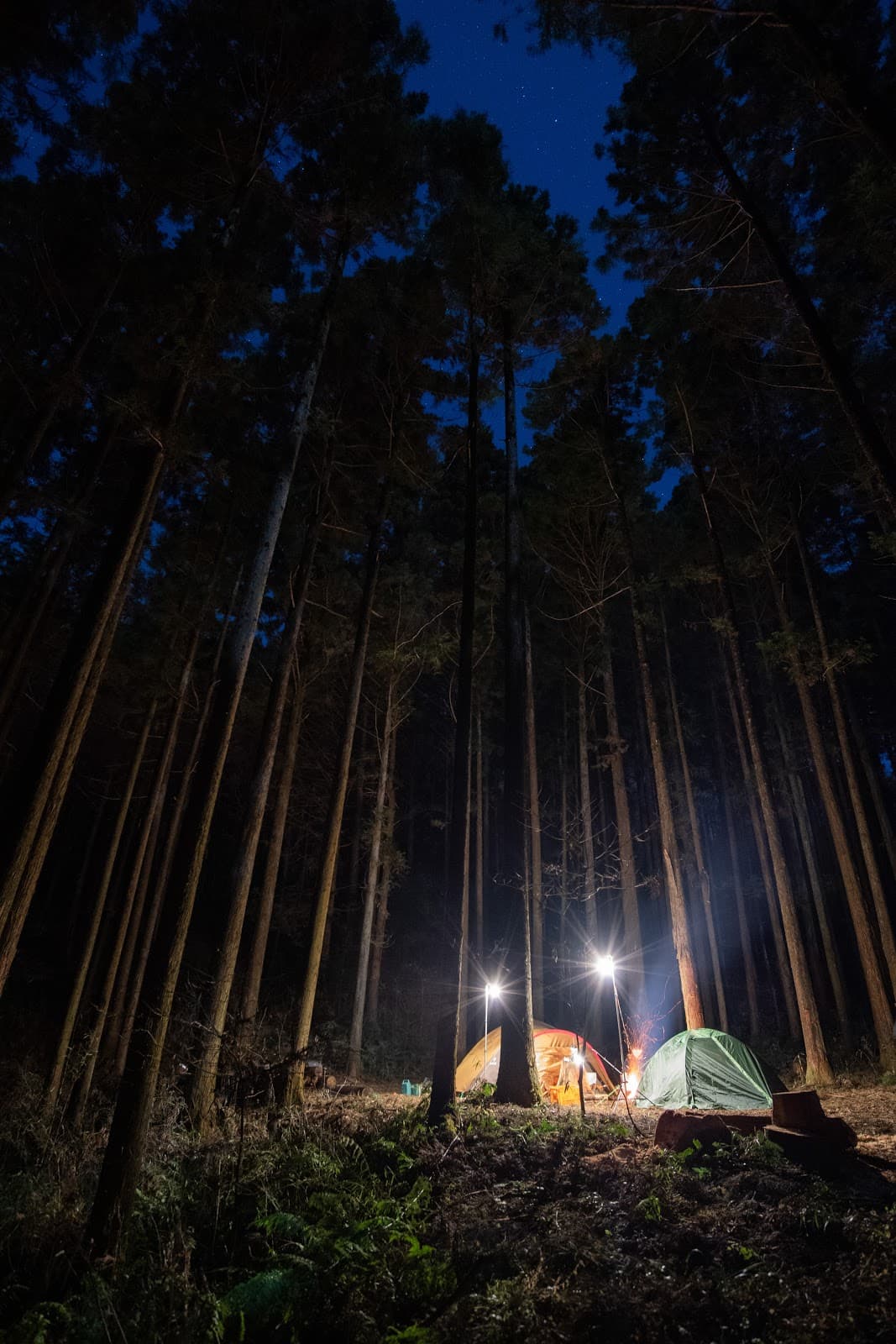 フォレストパークおいらの森 森の中のキャンプ場