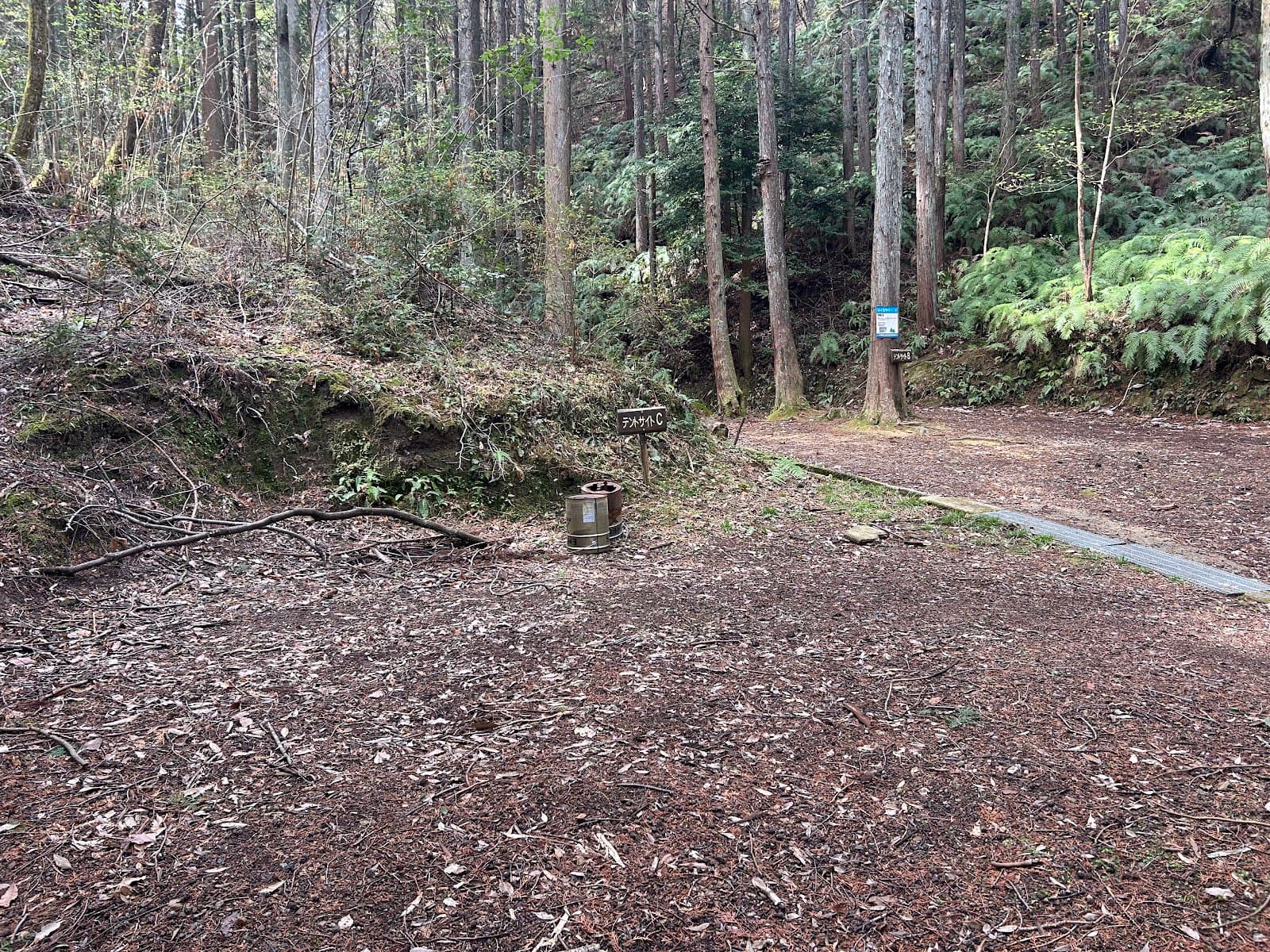 大阪府立少年自然の家 テントサイトC