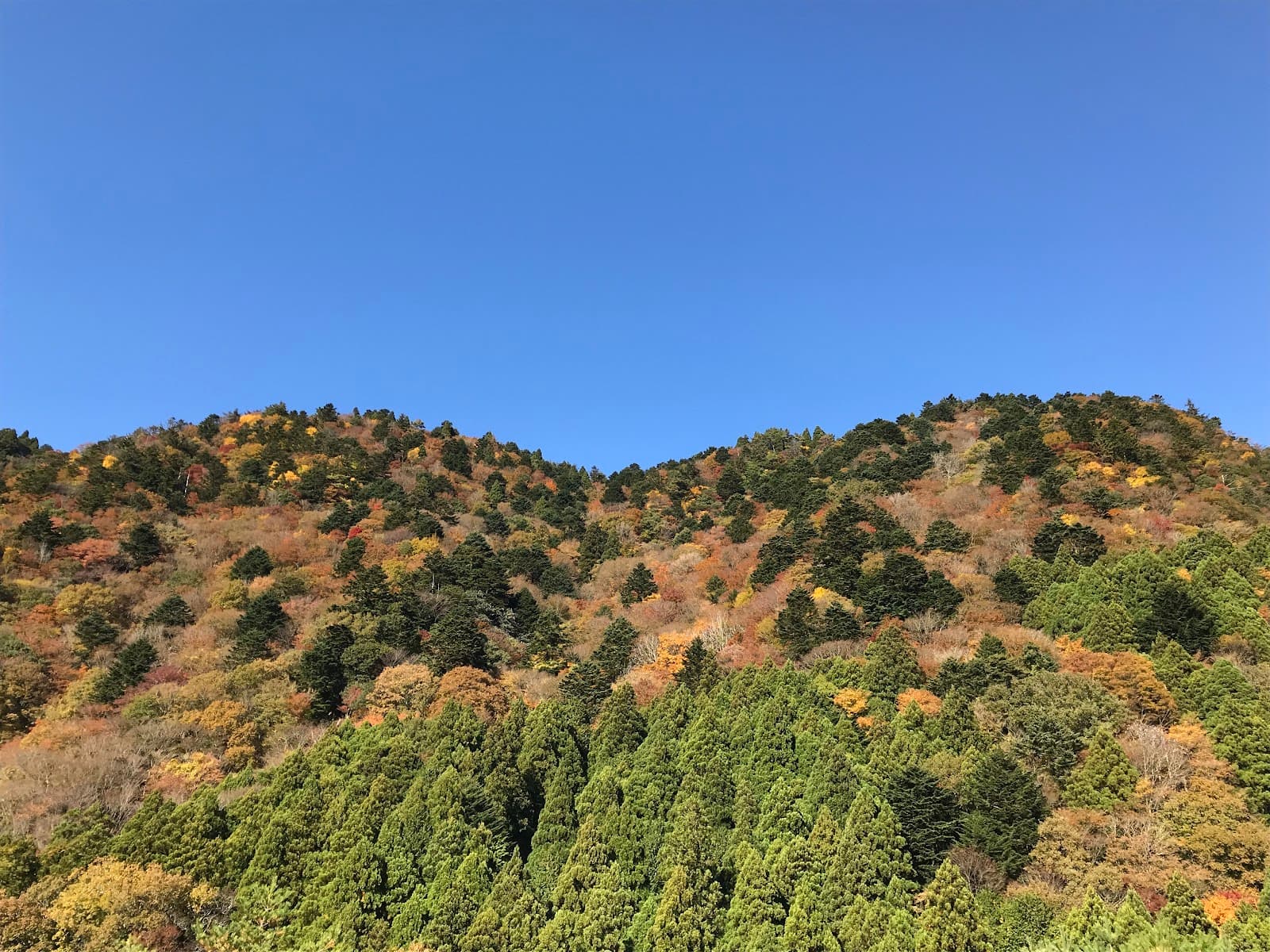 近日オープンのRVパーク