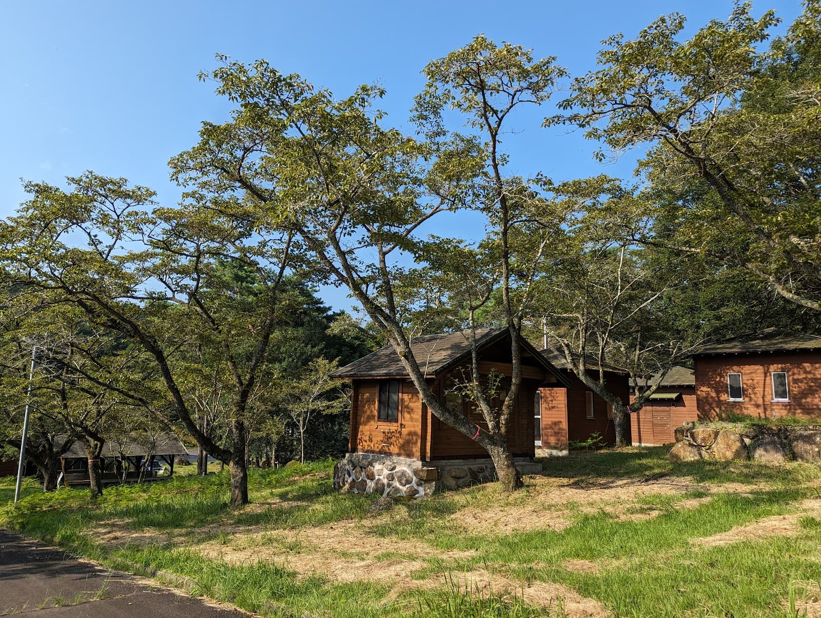 伏木公園キャンプ場