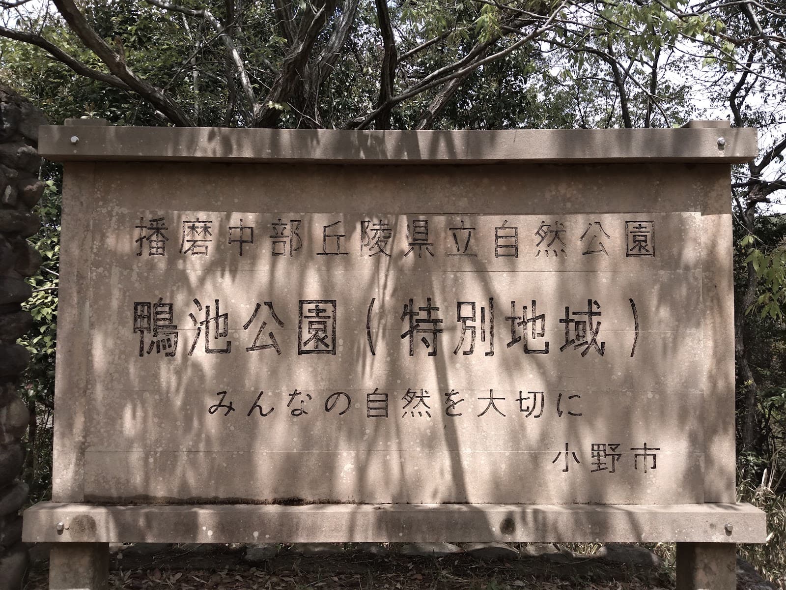 鴨池公園キャンプ場