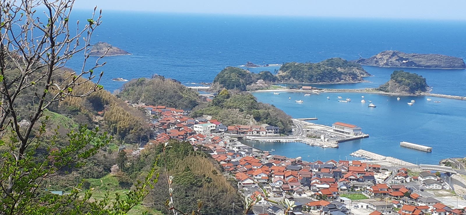 桂島海水浴場キャンプ場