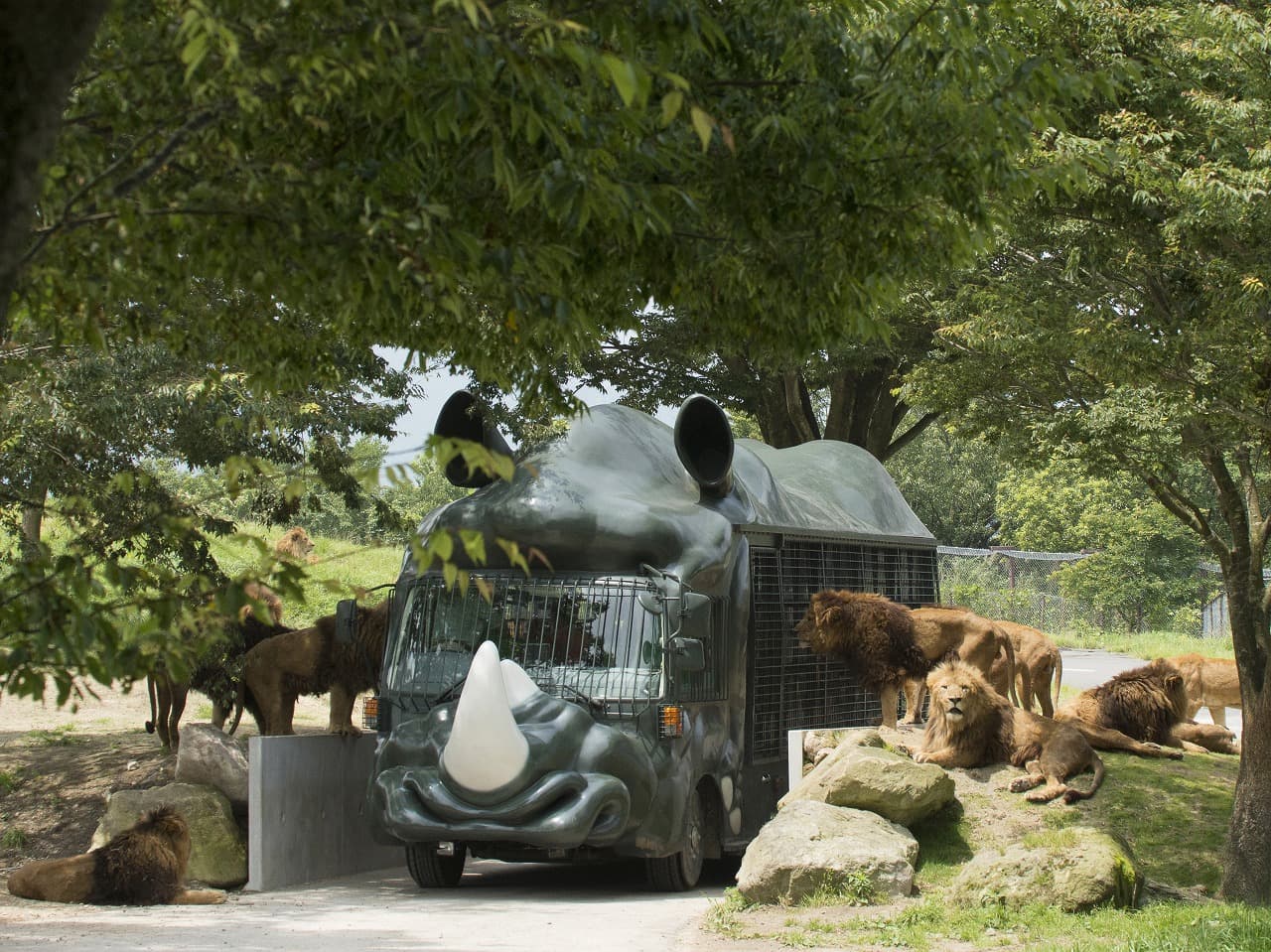 九州自然動物公園 アフリカンサファリ