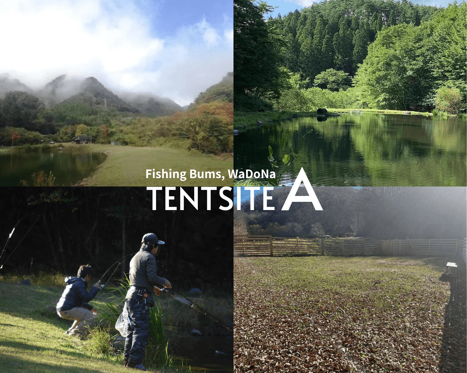 WaDoNaキャンプ場