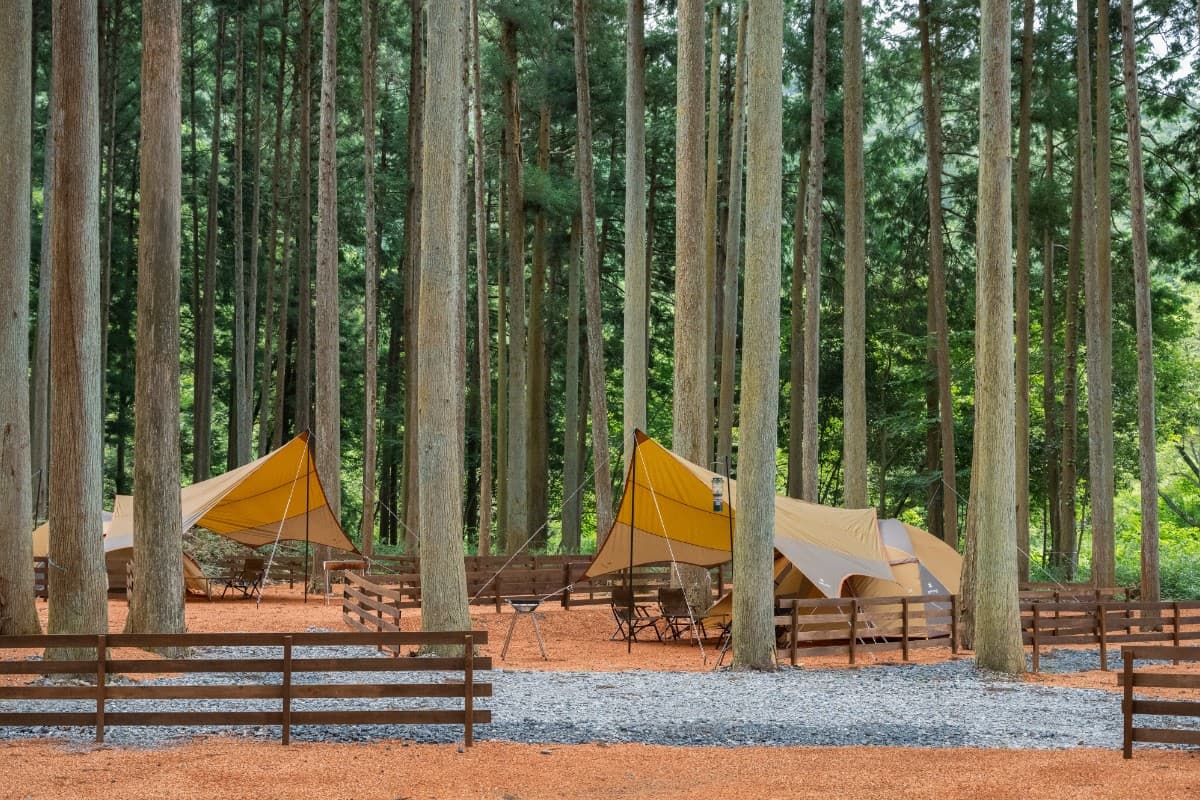 すめらぎの森 キャンプ 区画サイト（道の駅 ‎夢さんさん谷汲）