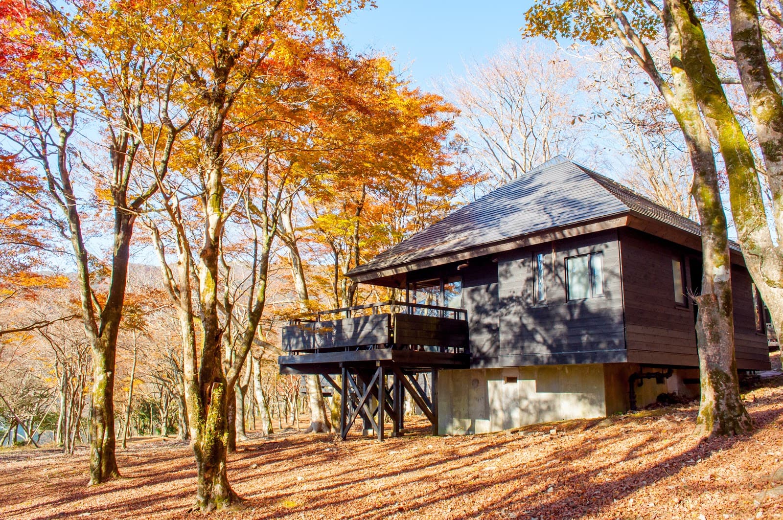 Fun Space芦ノ湖キャンプ村 レイクサイドヴィラ