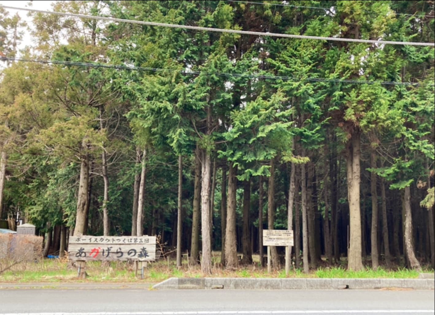 ボーイスカウトつくば第3団活動地「あかげらの森」