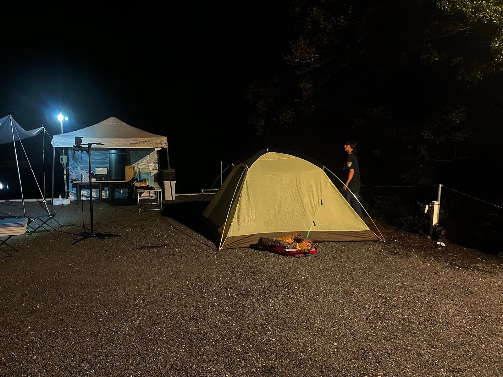 SGマリンサイト