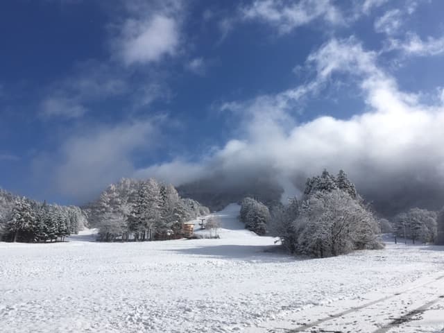 みやぎ蔵王七ヶ宿スキー場