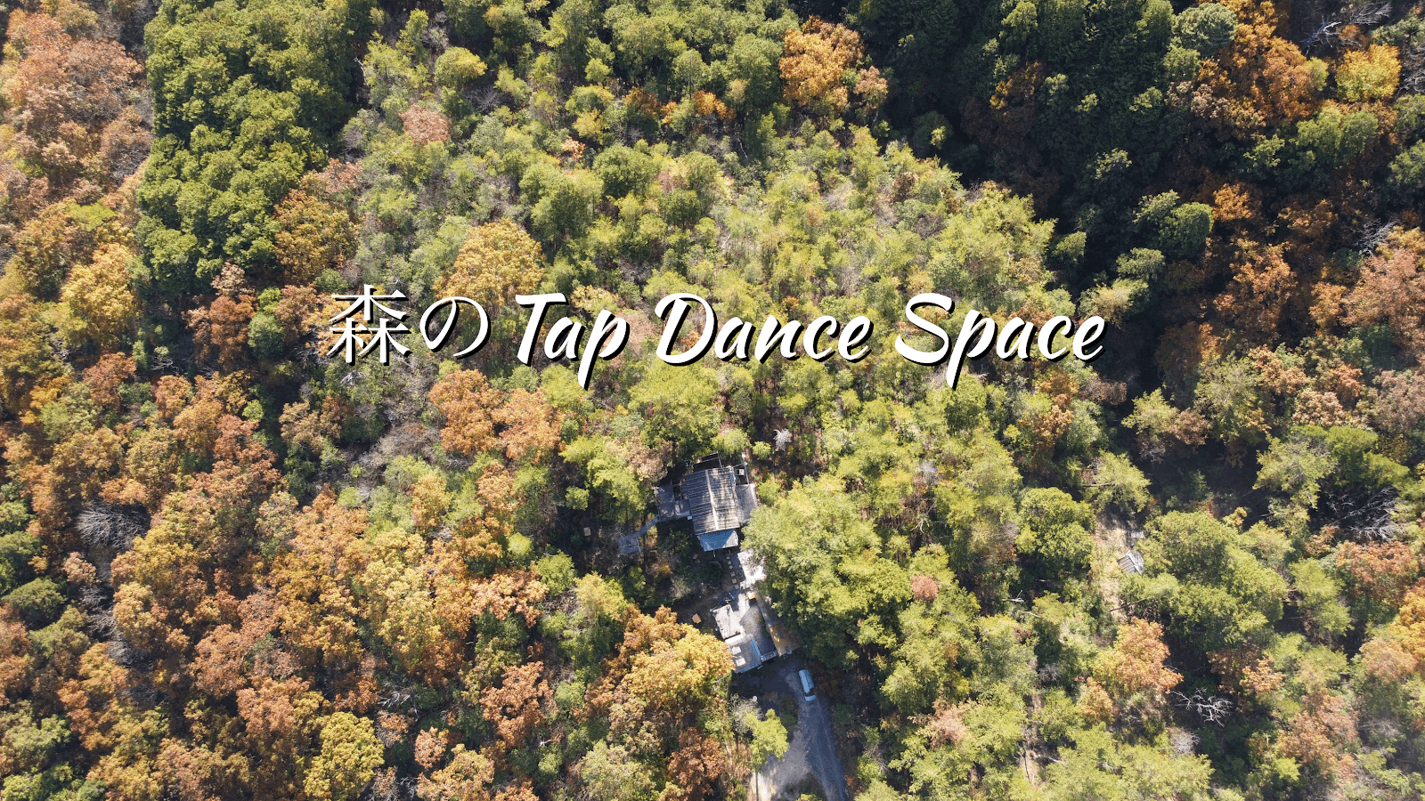 森の芸術大学AUN(CAMP/TAP DANCE/DRUMS/ART/CRAFT 体験スペース)