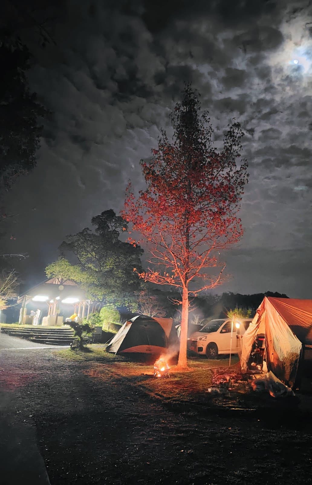 やぶっちゃキャンプ場 オートサイトB