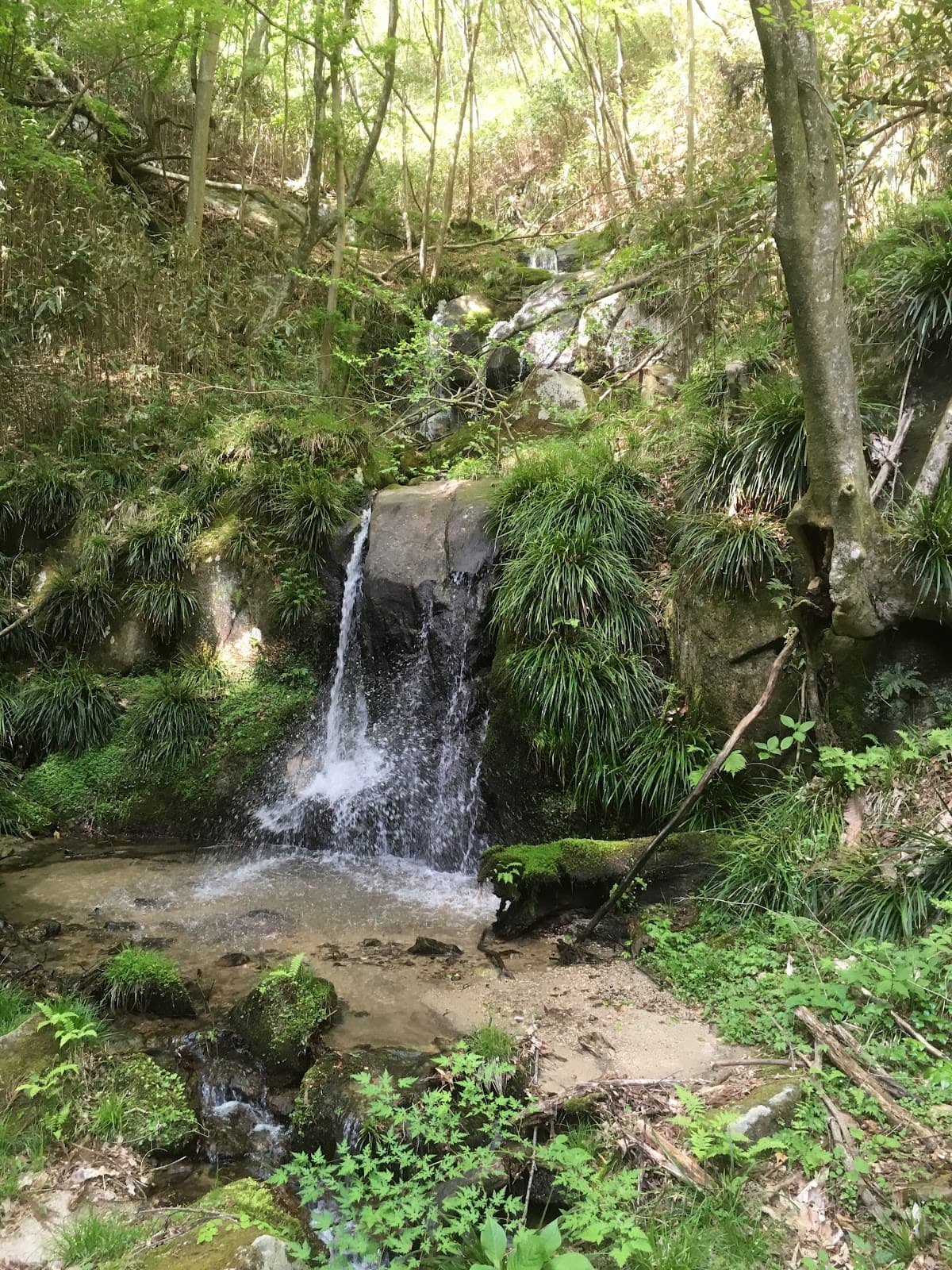 高萩スカウトフィールド「滝エリア」