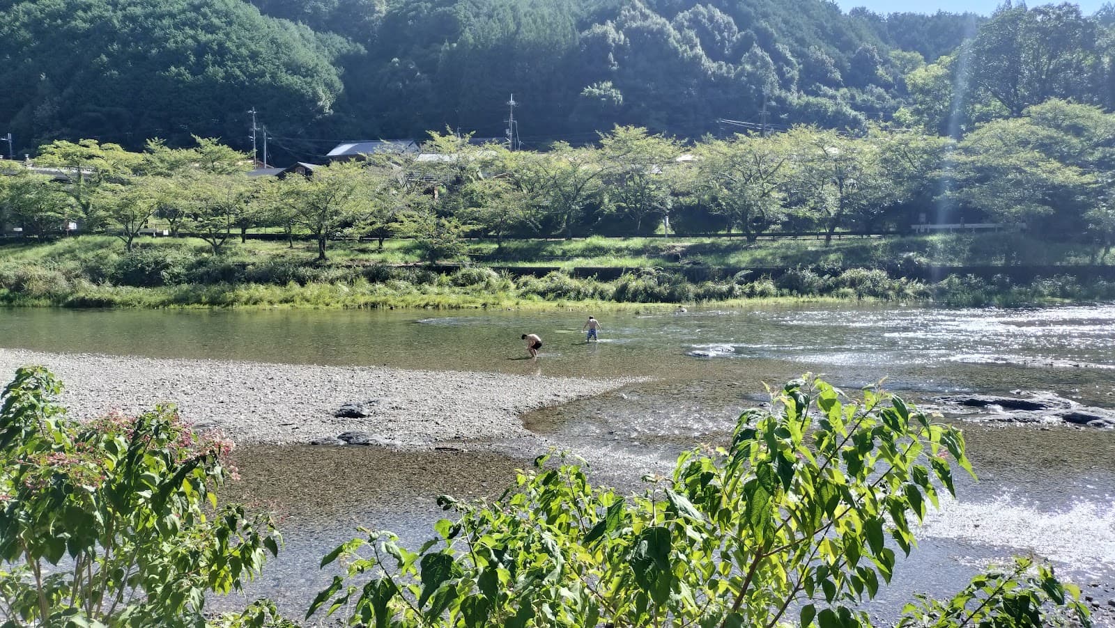 きなりの郷河川敷キャンプ場