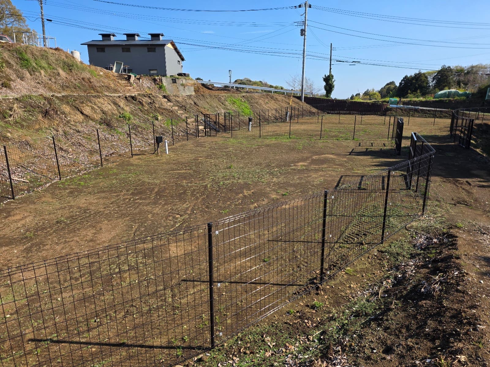 ファミリエドッグフリーサイト