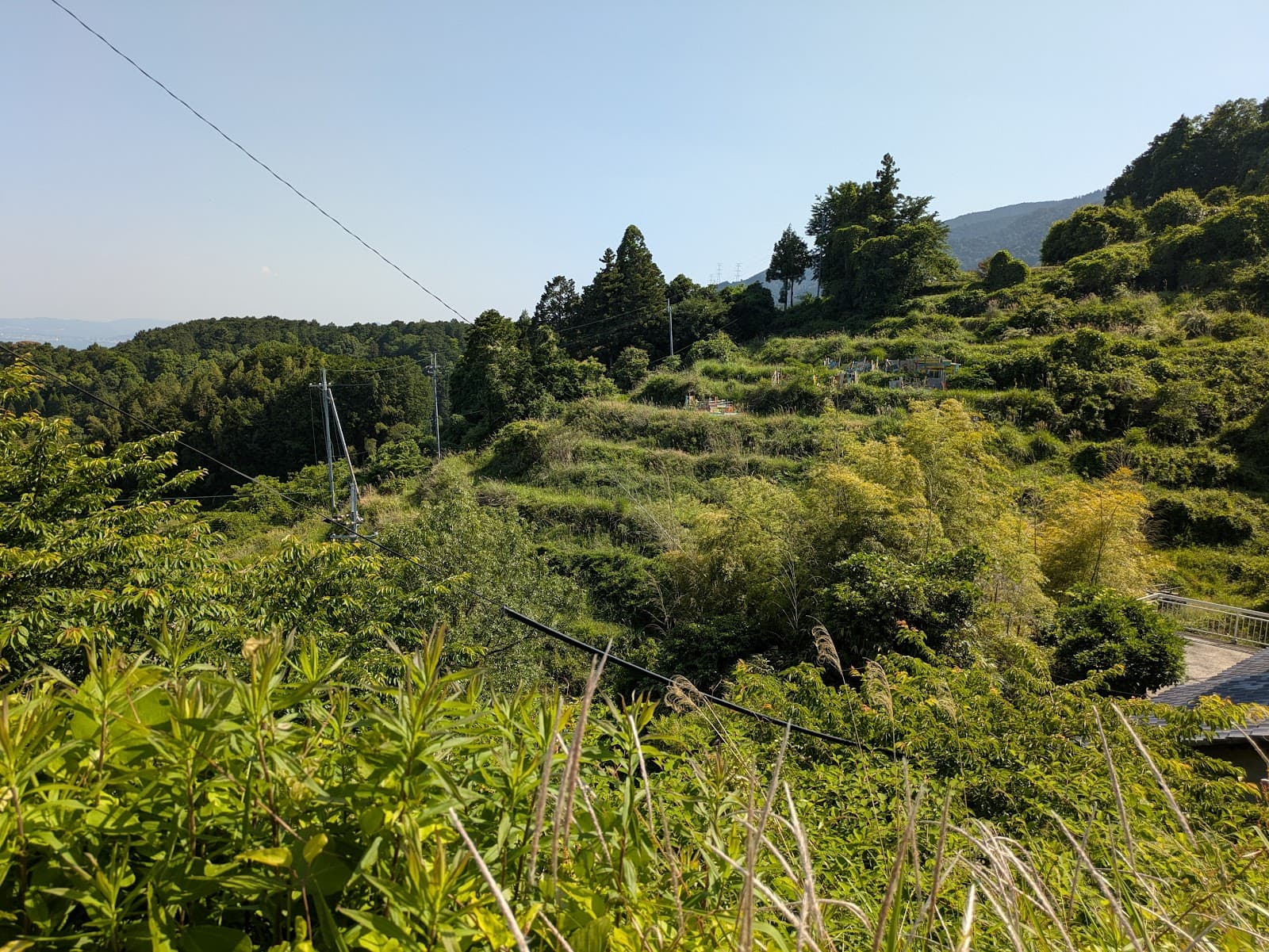 とびた遊農園（車では行けません）