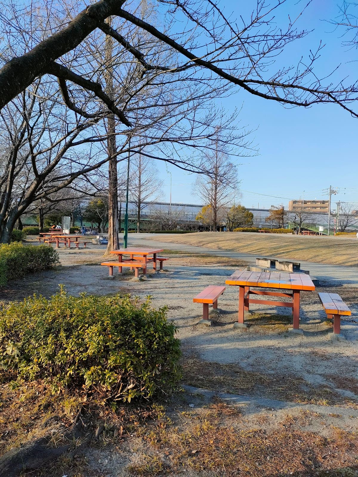荒子川公園 デイキャンプ場