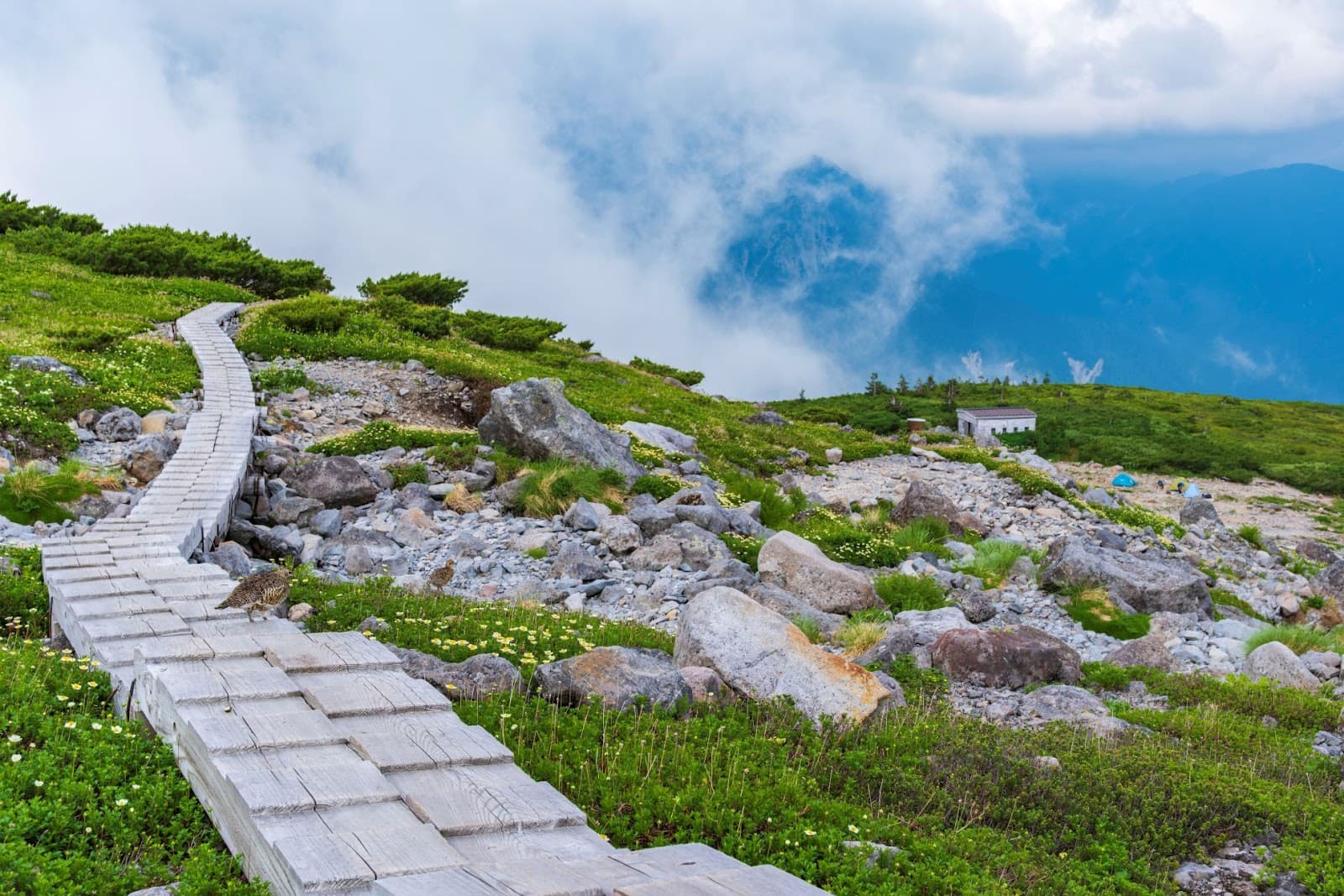 五色ヶ原キャンプ場