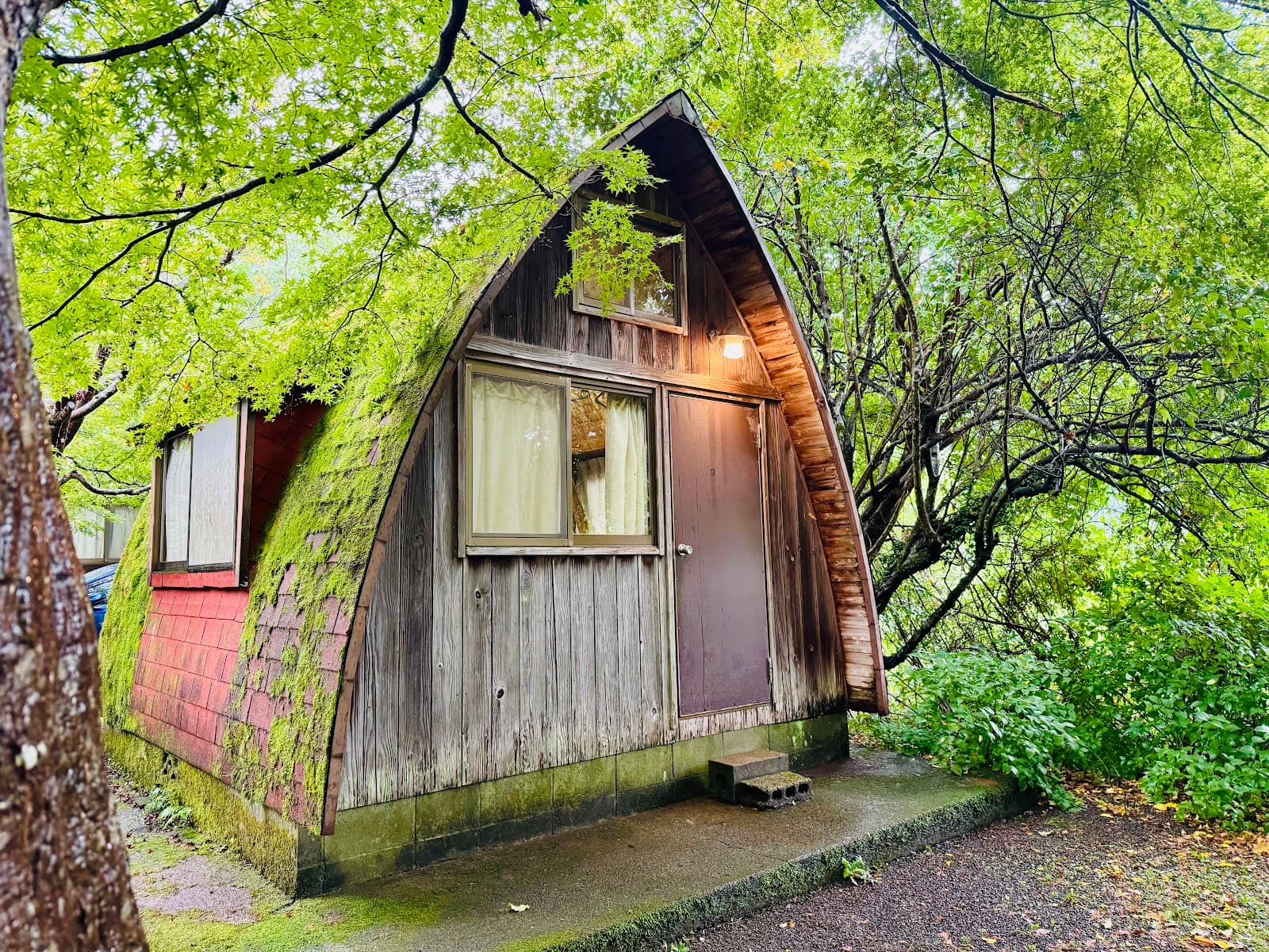 アイリスパークオートキャンプ場