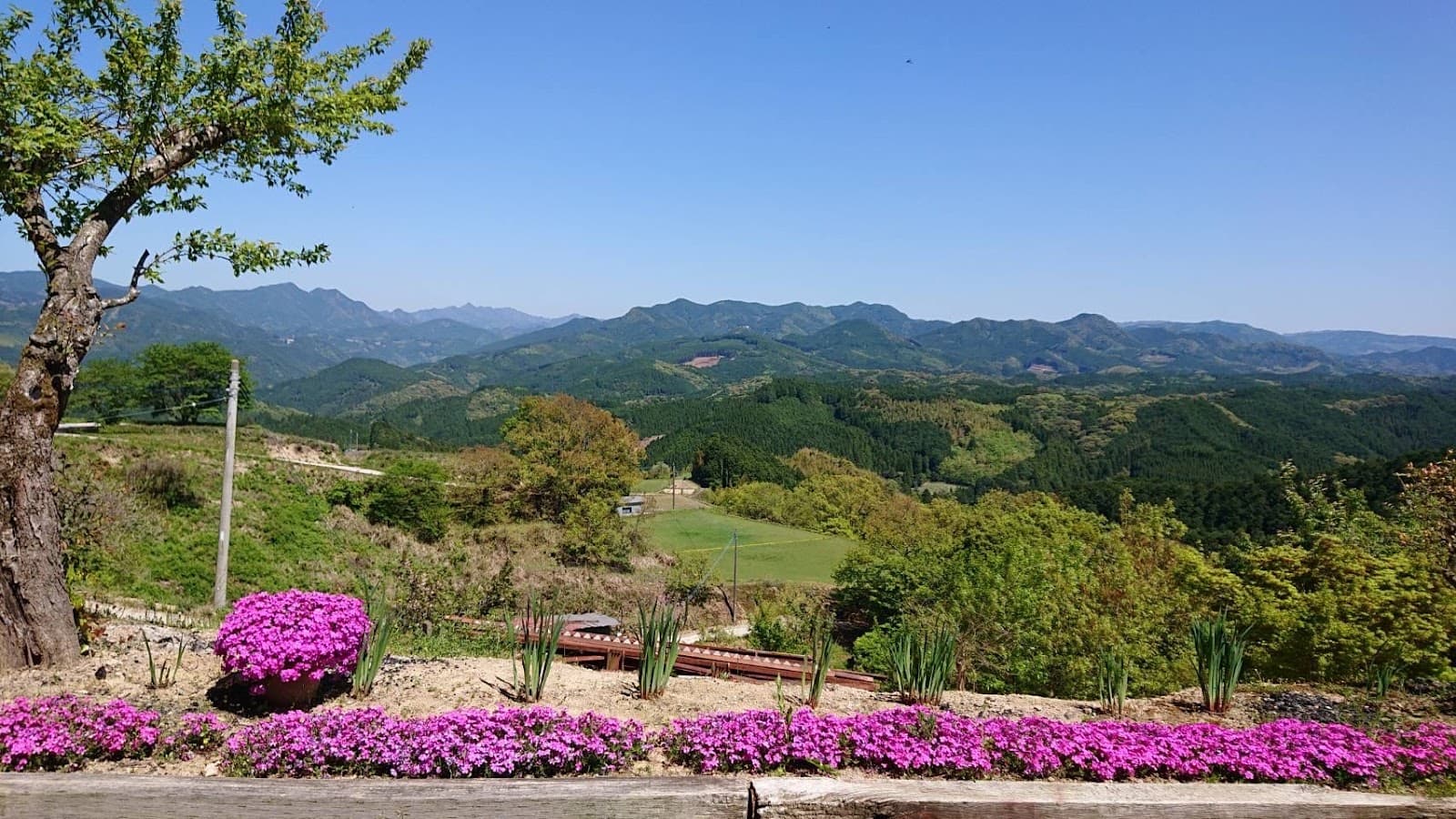 くろぎの杜 キャンプ場