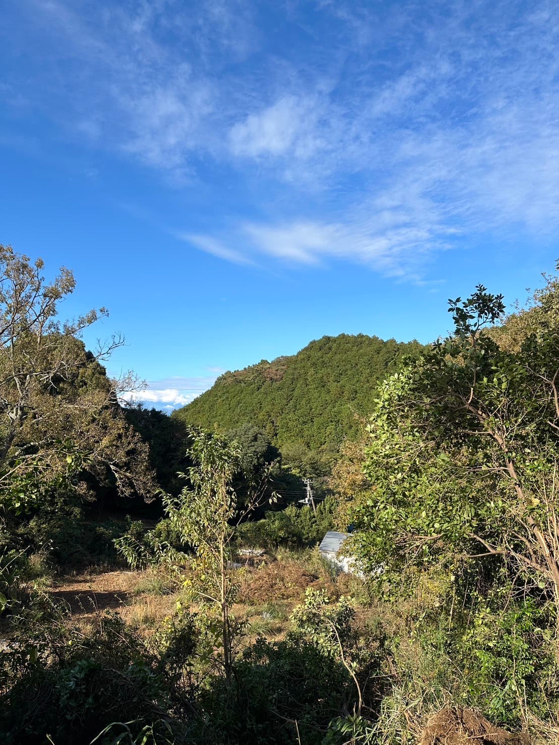 てのひら農園キャンプ場