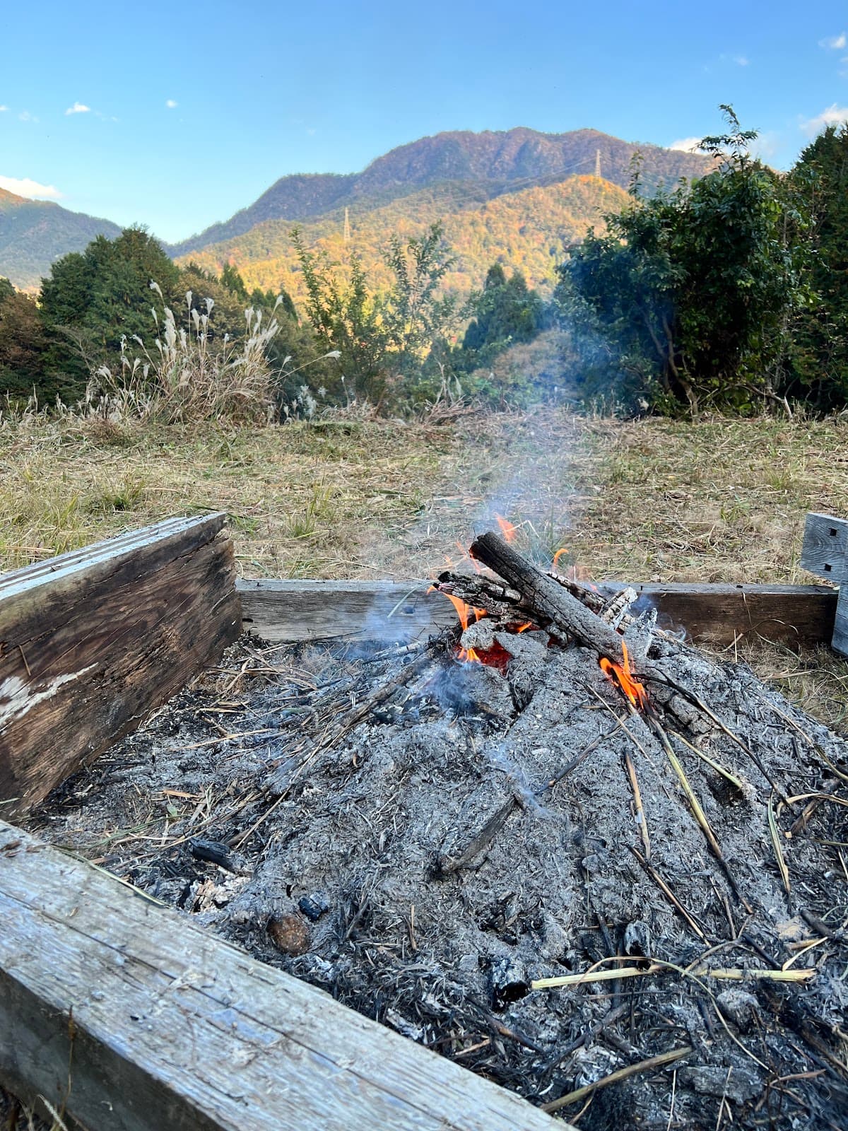 荒神の森野営地