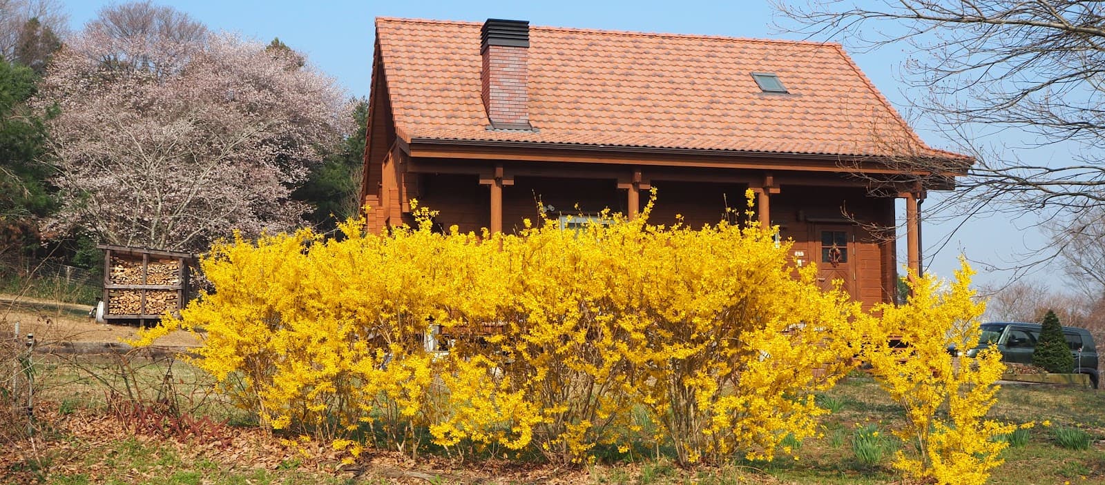 野遊びひとりじめ