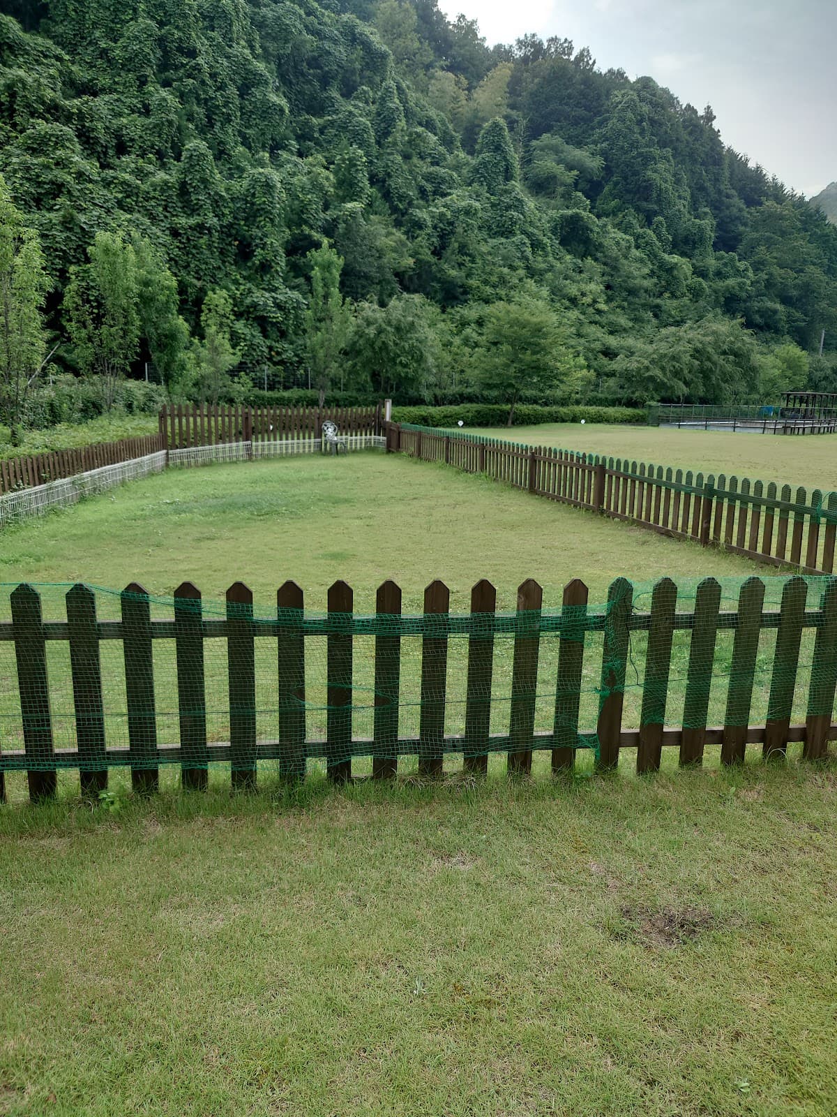 ライジングフィールド山家