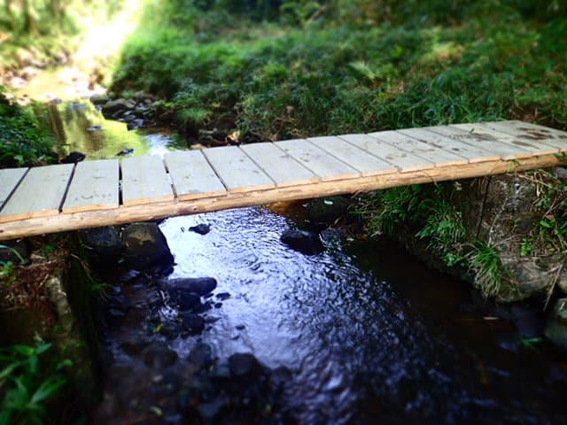 大津キャップベース