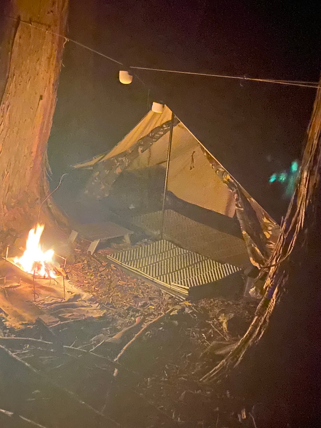 大久保の森（森林レンタルヤマアソビ）