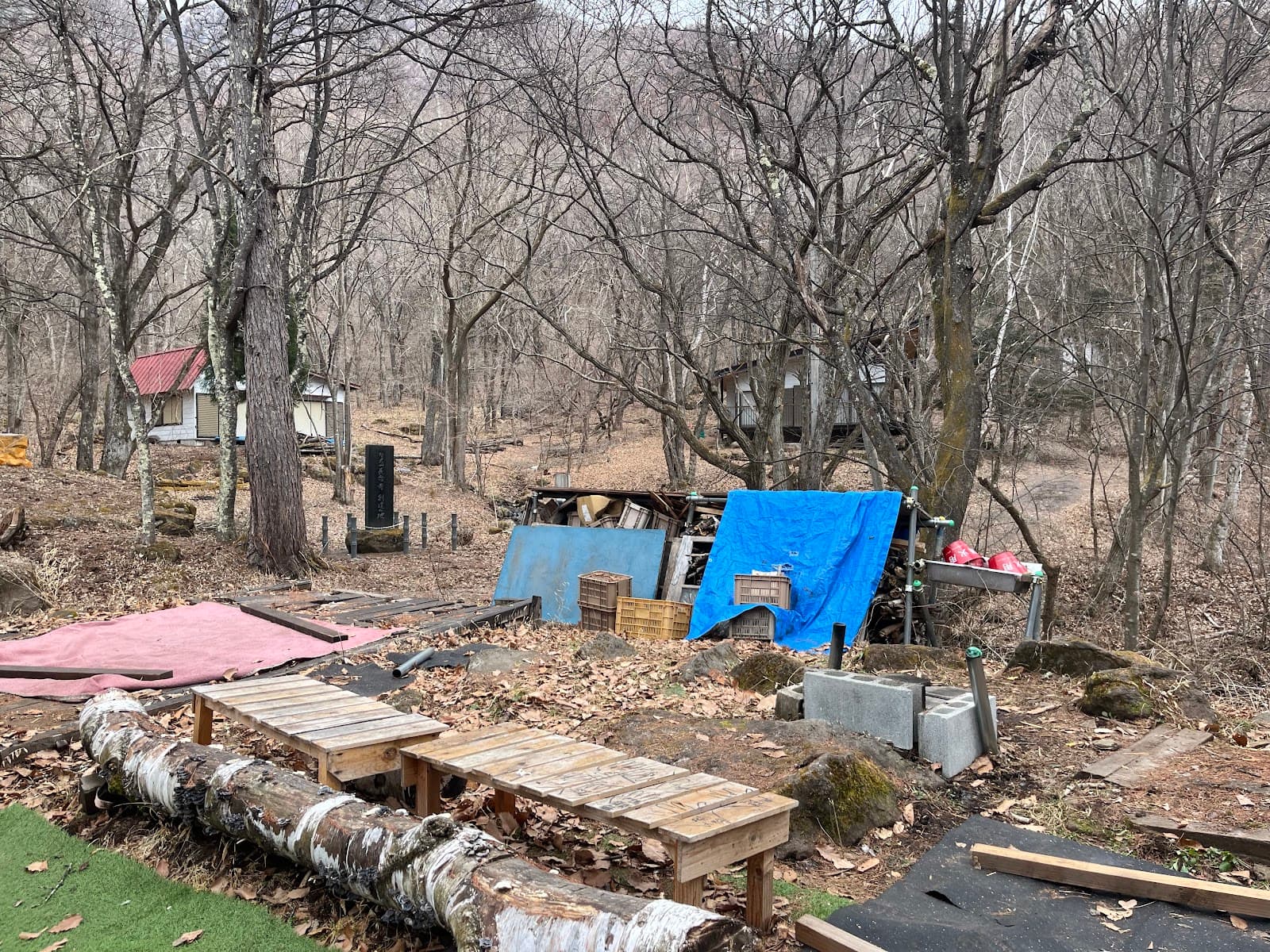 南えびなスポーツクラブキャンプ場